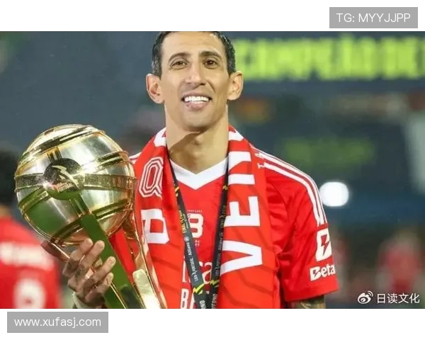 迪马利亚技术特点 迪马利亚技术特点