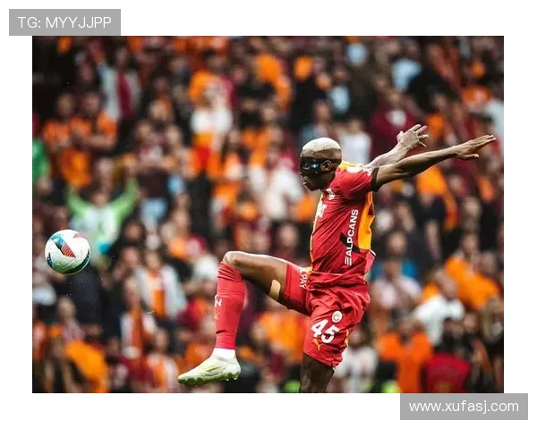 奥斯梅恩夺冠赛季解析：核心表现如何推动那不勒斯登顶